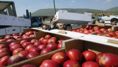 مصانع التفاح في تركيا – كبار المصنعين والموردين